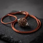 4 Mukhi Nepali Rudraksha thumbnail 4