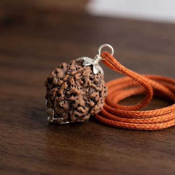 5 Mukhi Nepali Rudraksha