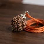 5 Mukhi Nepali Rudraksha thumbnail 1