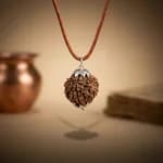 6 Mukhi Nepali Rudraksha Original thumbnail 2