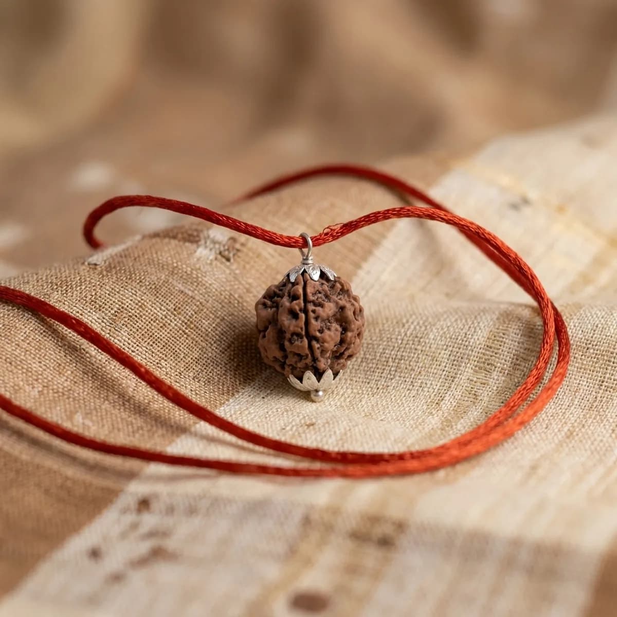 4 Mukhi Nepali Rudraksha — photo 1