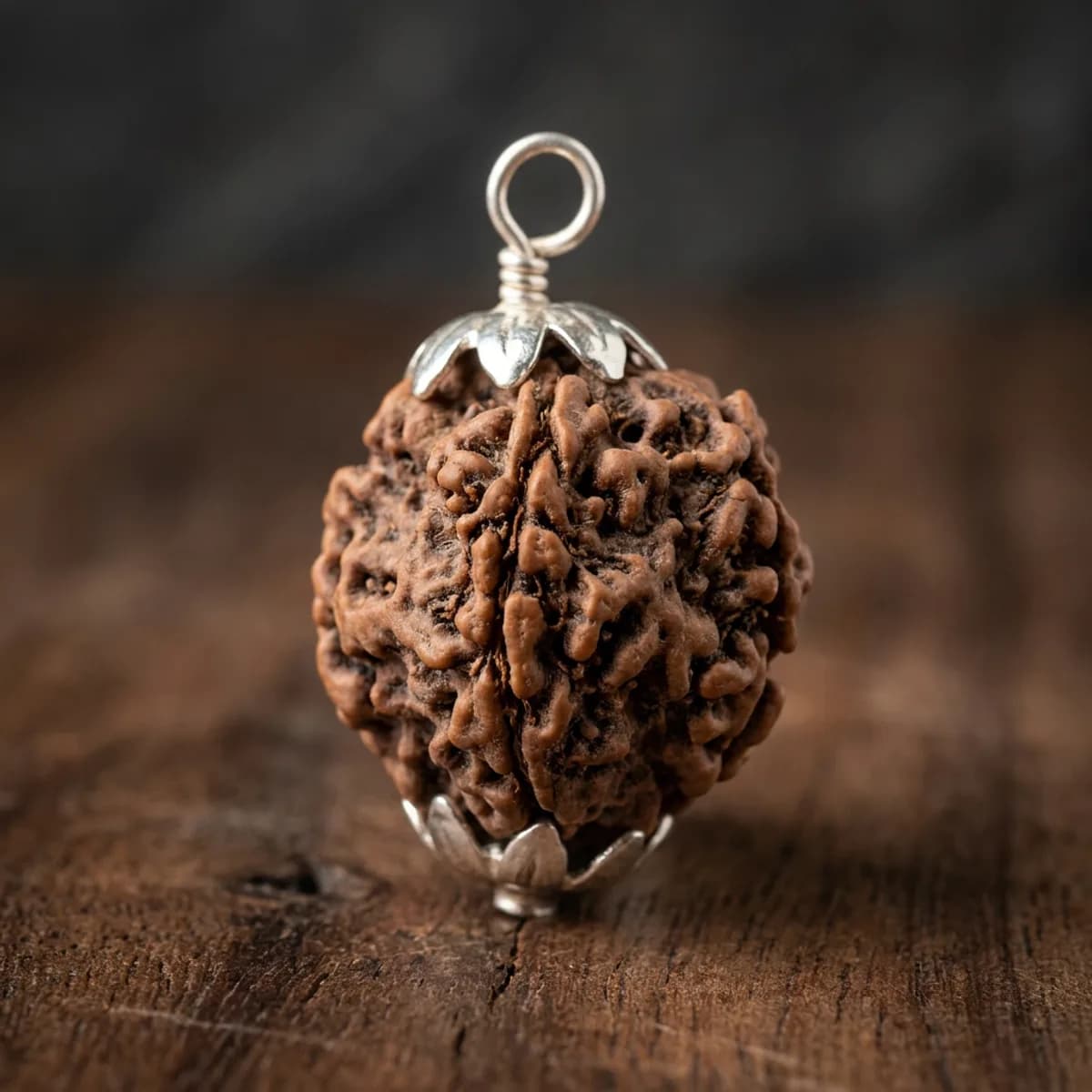 5 Mukhi Nepali Rudraksha — photo 2